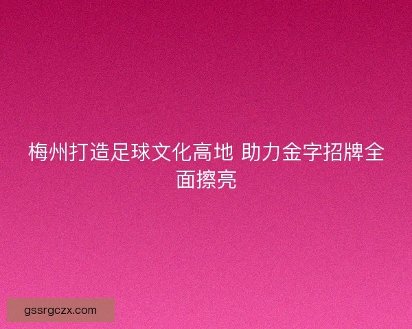 梅州打造足球文化高地 助力金字招牌全面擦亮