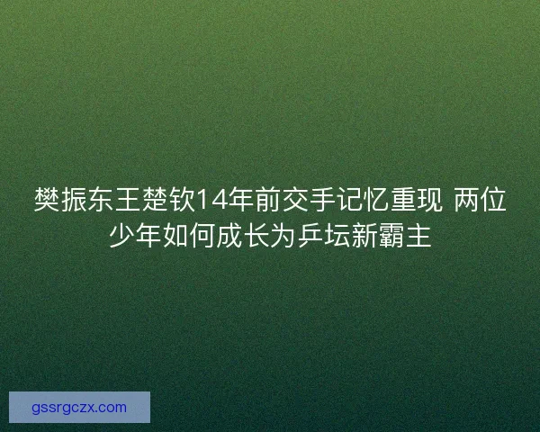 樊振东王楚钦14年前交手记忆重现 两位少年如何成长为乒坛新霸主 樊振东王楚钦14年前交手记忆重现 两位少年如何成长为乒坛新霸主