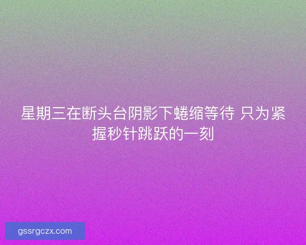 星期三在断头台阴影下蜷缩等待 只为紧握秒针跳跃的一刻 星期三在断头台阴影下蜷缩等待 只为紧握秒针跳跃的一刻